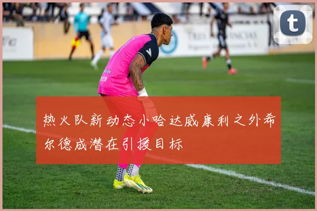 热火队新动态小哈达威康利之外希尔德成潜在引援目标